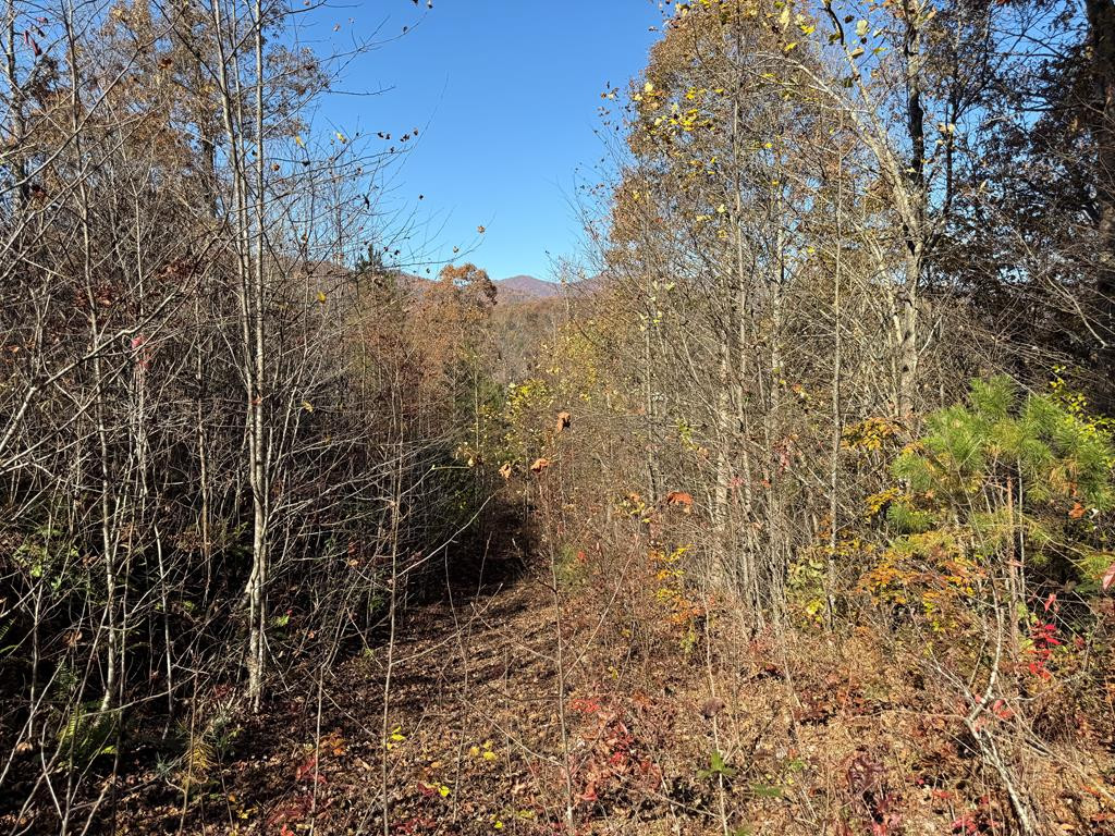 0 Summit Ridge Trail Marble, NC 28905 - Photo 1 of 9 Main View
