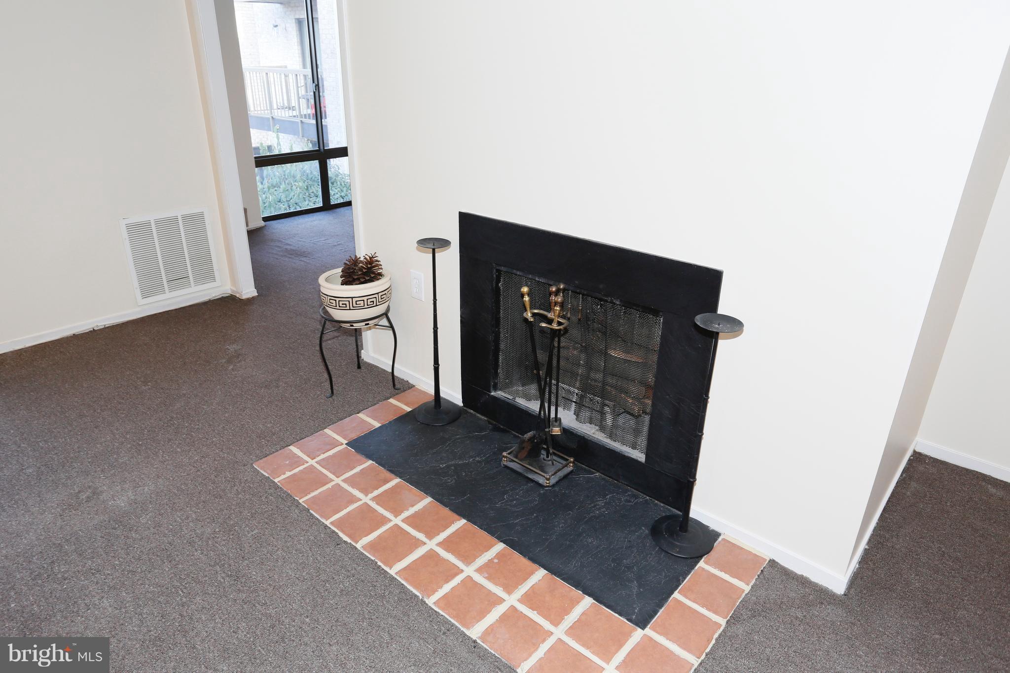 10008 Stedwick Road, Unit 201 Montgomery Village, MD 20886 - Photo 4 of 15 Fireplace in Living Room