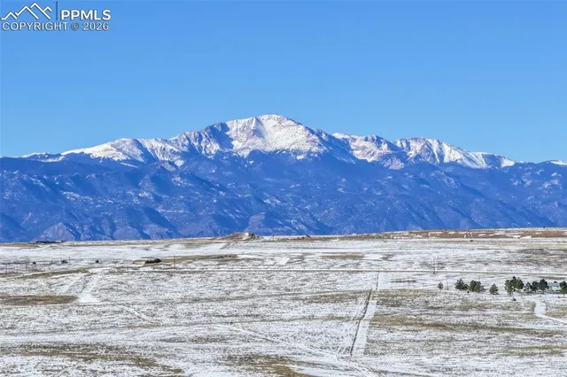 a view of a dry yard with wooden fence
