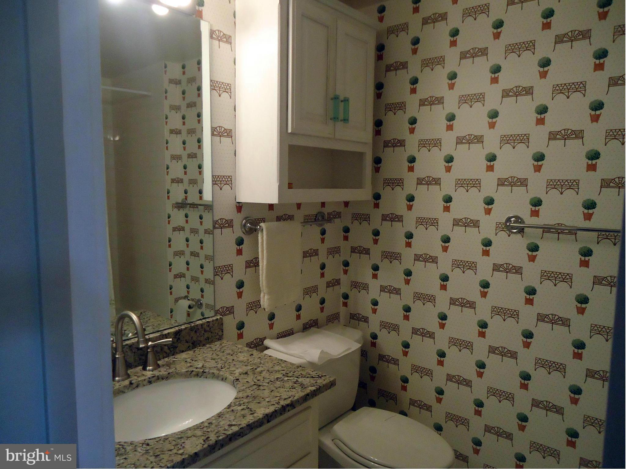 603 Queen Street, Unit 2 Alexandria, VA 22314 - Photo 12 of 30 Bath