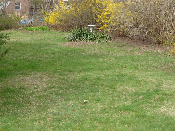 39 Coolidge Road Walpole, MA 02081 - Photo 12 of 13 Gallery Image 12