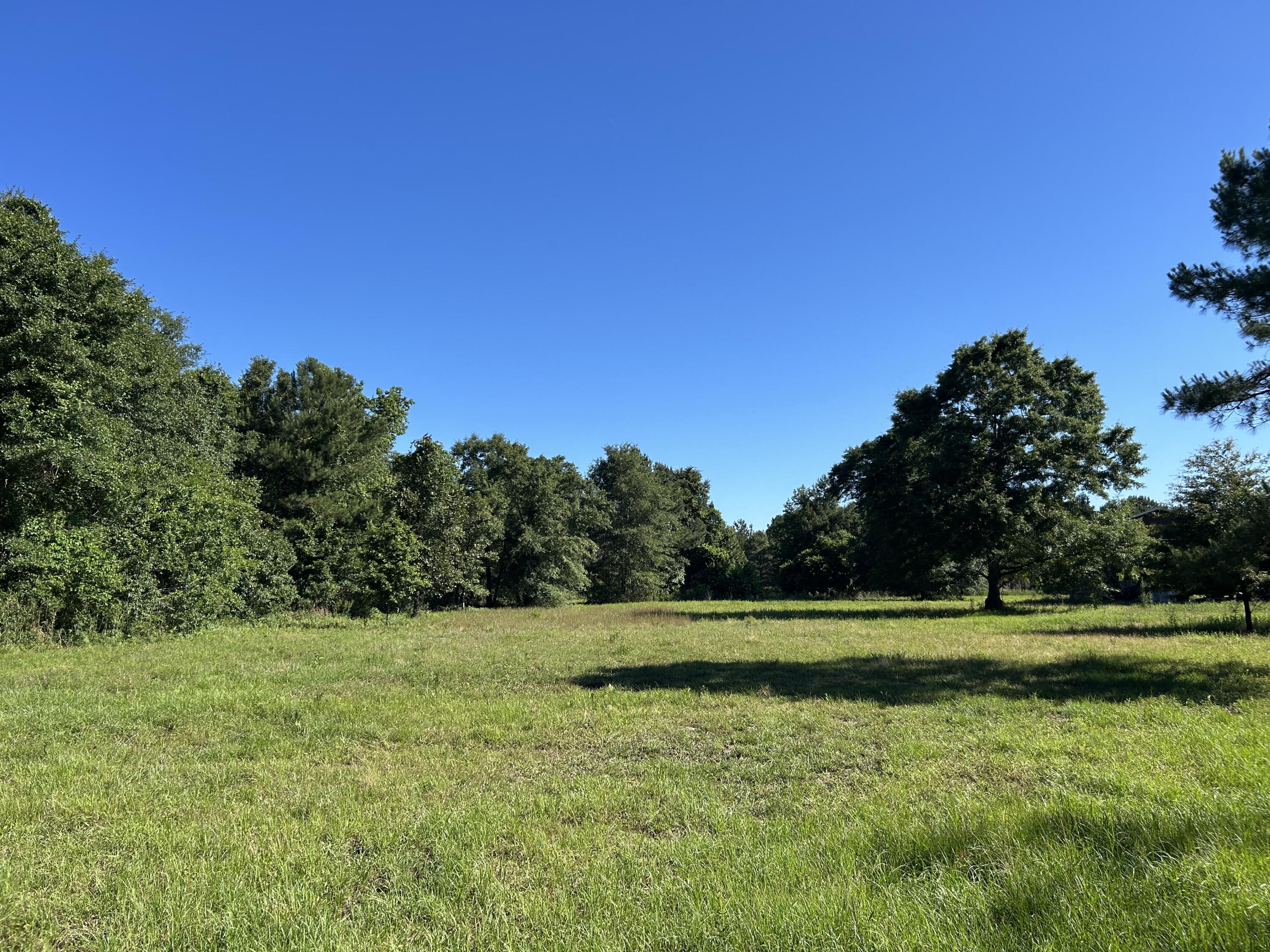 0 Holladay Road Manning, SC 29102 - Photo 28 of 35