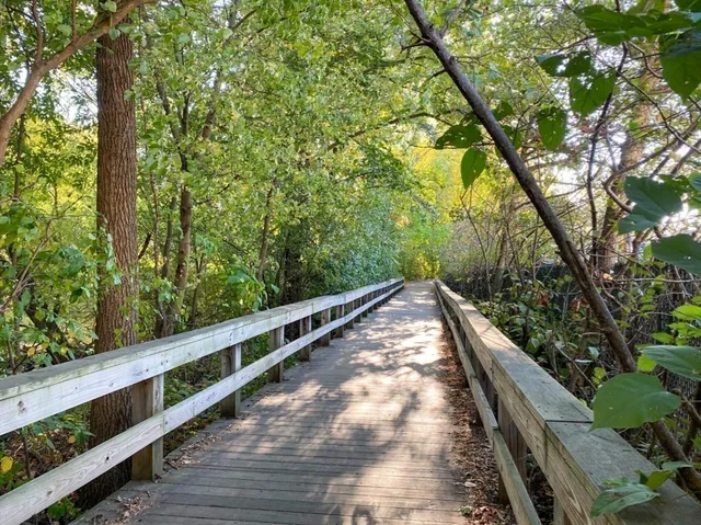 a front view of a building with plants