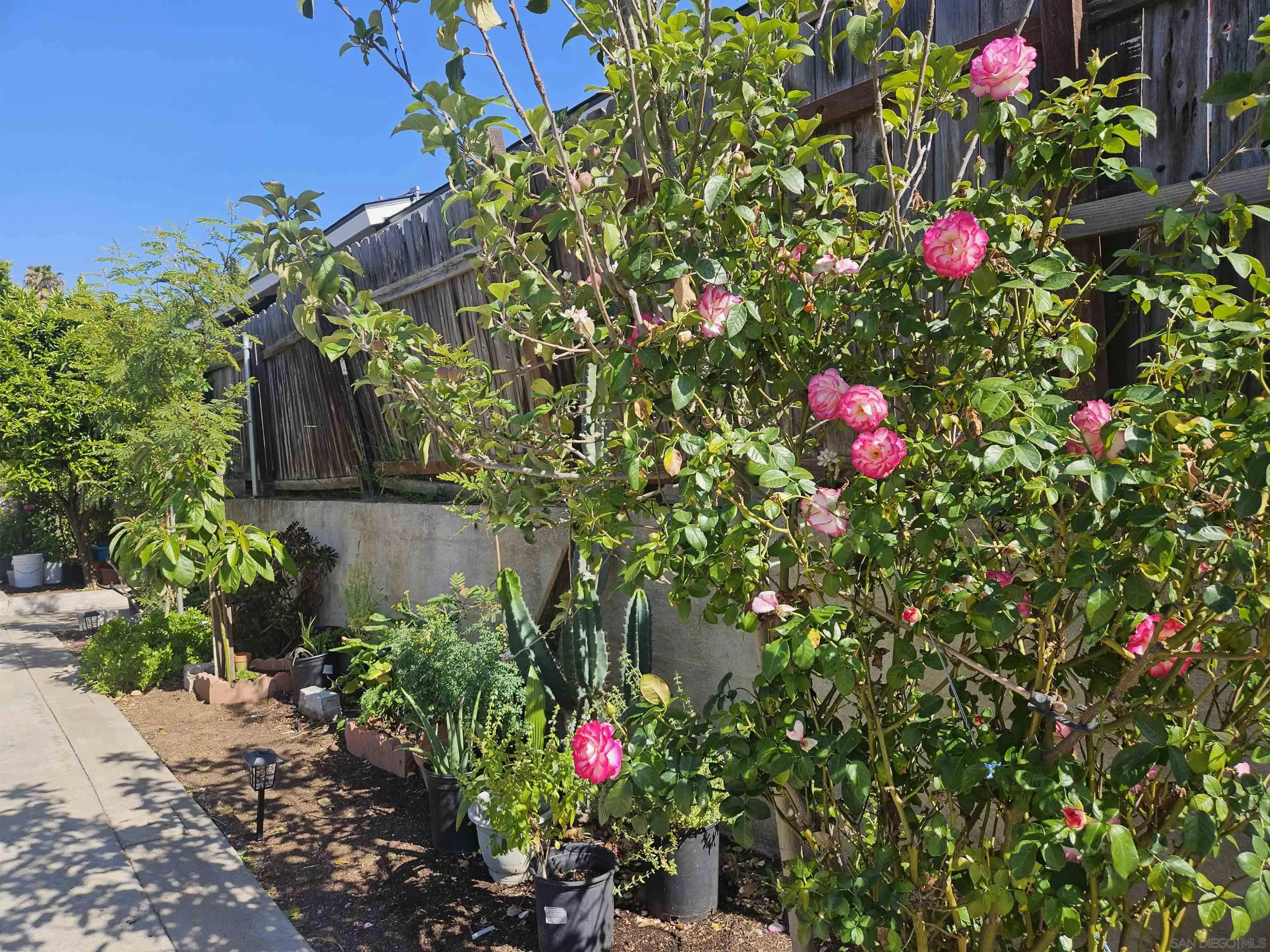 727 North Main Avenue Fallbrook, CA 92028 - Photo 9 of 21