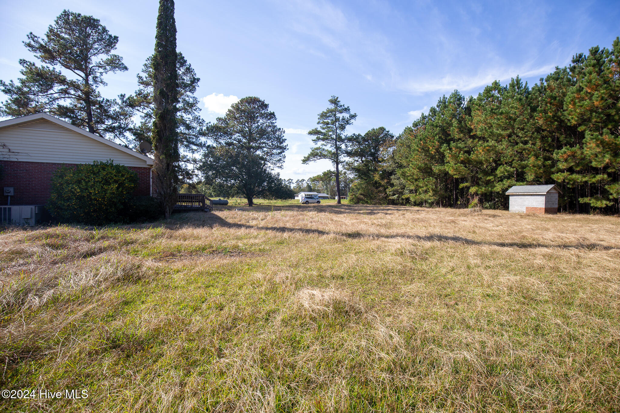 865 Silver Spoon Road Evergreen, NC 28438 - Photo 31 of 33 silver right side2