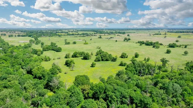 a view of a yard with an outdoor space