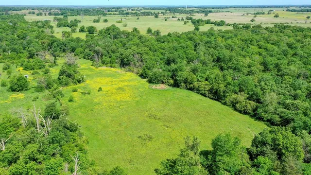 a view of yard with green space