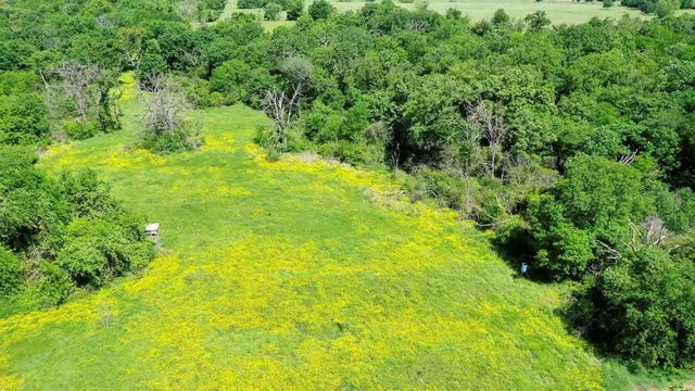 a view of a field with an outdoor space