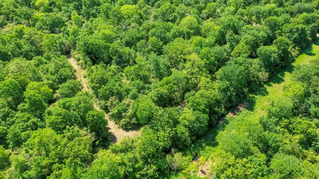 a view of a yard with an outdoor space