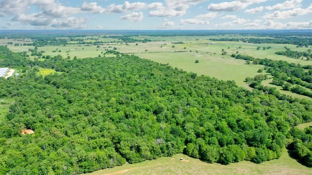 a view of a big yard with lots of green space