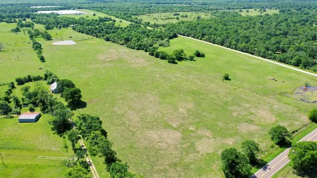 a green field with lots of green space