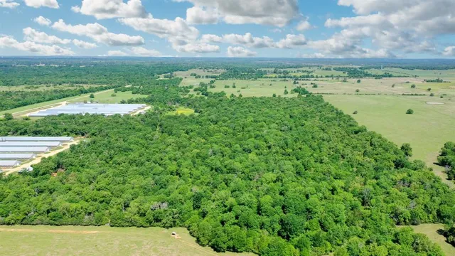 a view of a lake with a yard