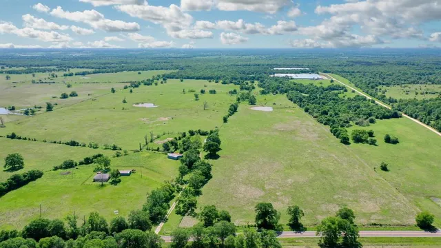 a view of a bunch of trees and houses