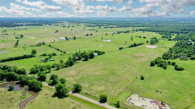 a view of a green yard with an trees