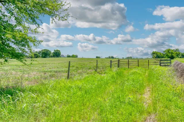 a view of a green field with sky view