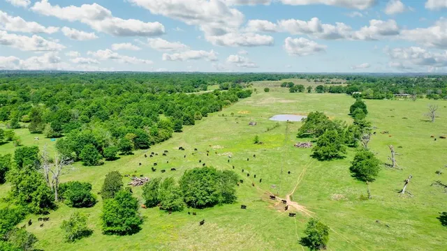 a view of a large yard with lots of green space