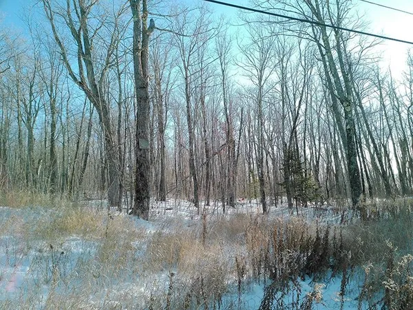 $499,000 | Xxx South Caribou Drive, Lutsen, MN 55612