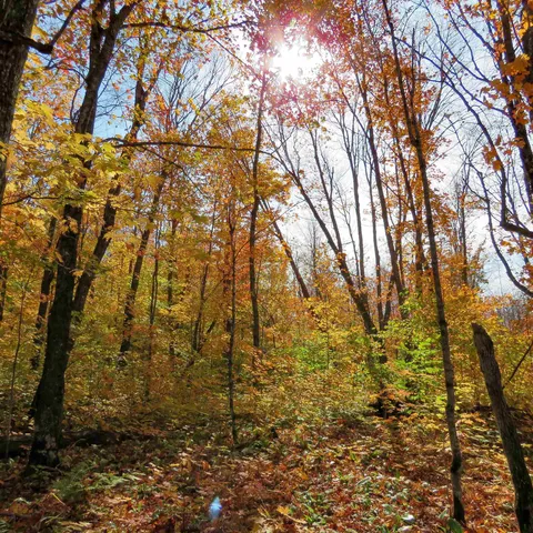 $499,000 | Xxx South Caribou Drive, Lutsen, MN 55612