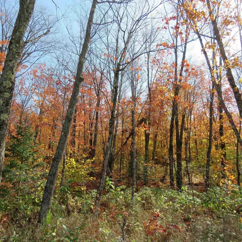 $499,000 | Xxx South Caribou Drive, Lutsen, MN 55612