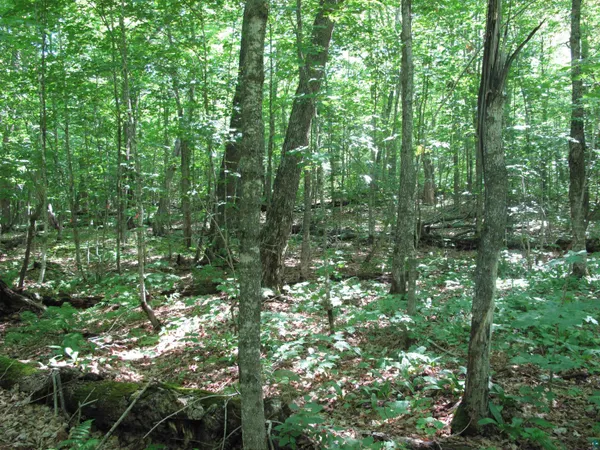 $499,000 | Xxx South Caribou Drive, Lutsen, MN 55612