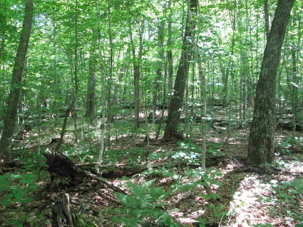$499,000 | Xxx South Caribou Drive, Lutsen, MN 55612