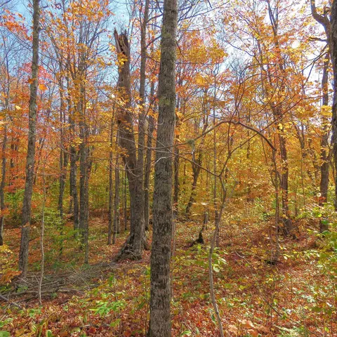 $499,000 | Xxx South Caribou Drive, Lutsen, MN 55612