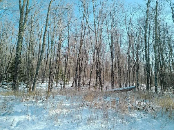 $499,000 | Xxx South Caribou Drive, Lutsen, MN 55612