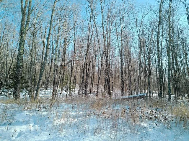 $499,000 | Xxx South Caribou Drive, Lutsen, MN 55612