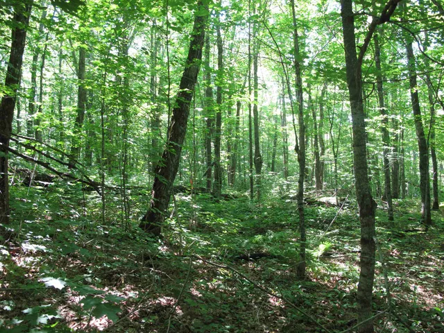 $499,000 | Xxx South Caribou Drive, Lutsen, MN 55612