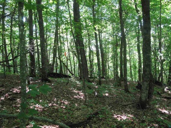 $499,000 | Xxx South Caribou Drive, Lutsen, MN 55612
