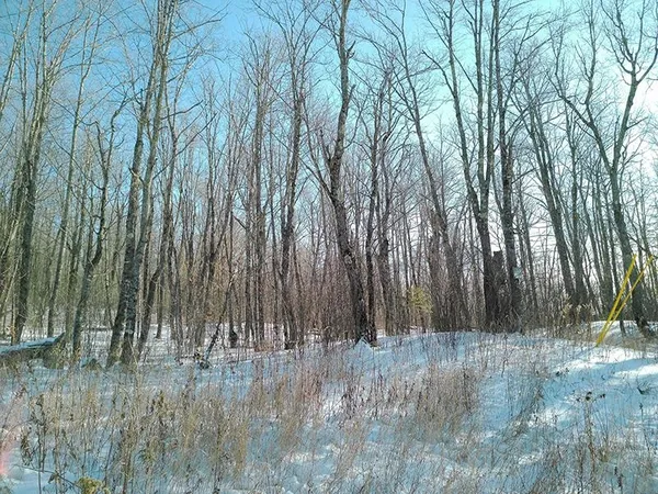 $499,000 | Xxx South Caribou Drive, Lutsen, MN 55612