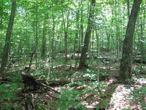 $499,000 | Xxx South Caribou Drive, Lutsen, MN 55612