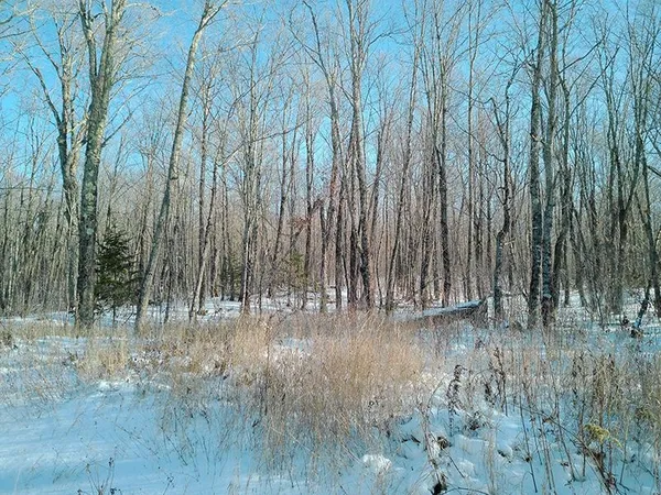 $499,000 | Xxx South Caribou Drive, Lutsen, MN 55612