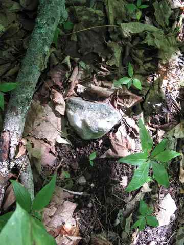 $499,000 | Xxx South Caribou Drive, Lutsen, MN 55612