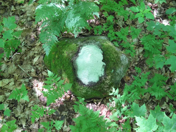 $499,000 | Xxx South Caribou Drive, Lutsen, MN 55612