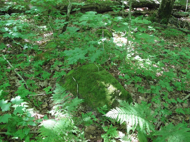 $499,000 | Xxx South Caribou Drive, Lutsen, MN 55612