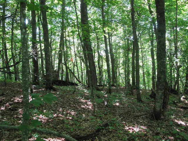 $499,000 | Xxx South Caribou Drive, Lutsen, MN 55612