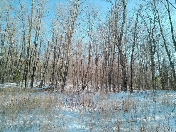 $499,000 | Xxx South Caribou Drive, Lutsen, MN 55612