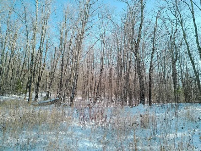 $499,000 | Xxx South Caribou Drive, Lutsen, MN 55612