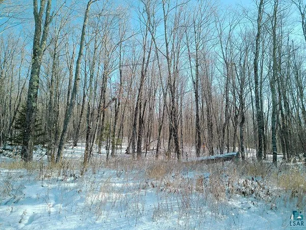 $499,000 | Xxx South Caribou Drive, Lutsen, MN 55612