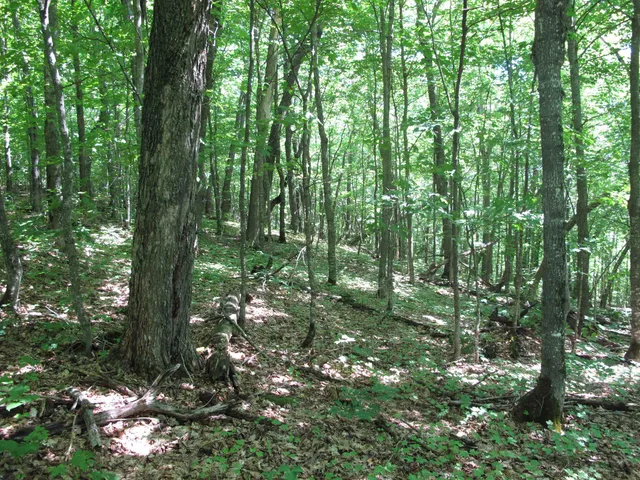 $499,000 | Xxx South Caribou Drive, Lutsen, MN 55612