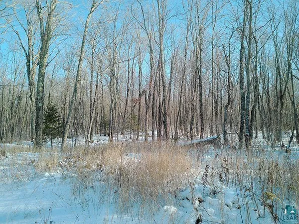 $499,000 | Xxx South Caribou Drive, Lutsen, MN 55612