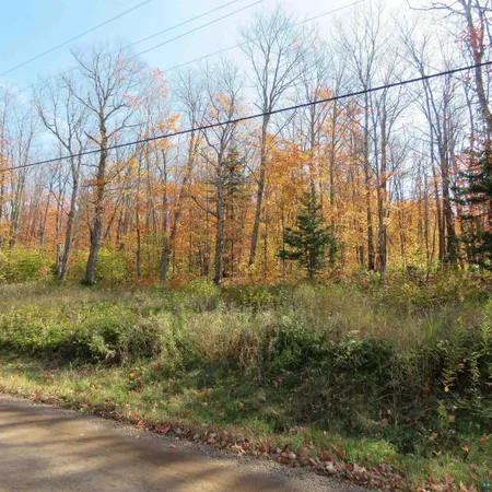 $499,000 | Xxx South Caribou Drive, Lutsen, MN 55612