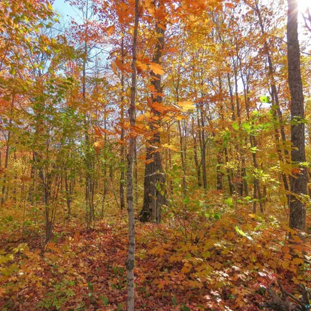 $499,000 | Xxx South Caribou Drive, Lutsen, MN 55612