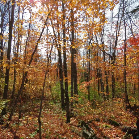 $499,000 | Xxx South Caribou Drive, Lutsen, MN 55612