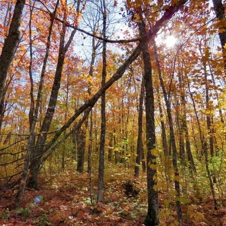 $499,000 | Xxx South Caribou Drive, Lutsen, MN 55612