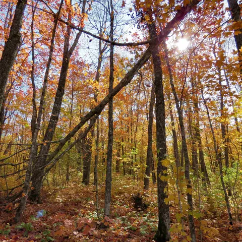 $499,000 | Xxx South Caribou Drive, Lutsen, MN 55612