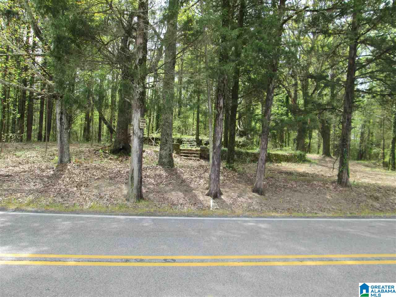 2460 Corner Road Warrior, AL 35180 - Photo 2 of 13