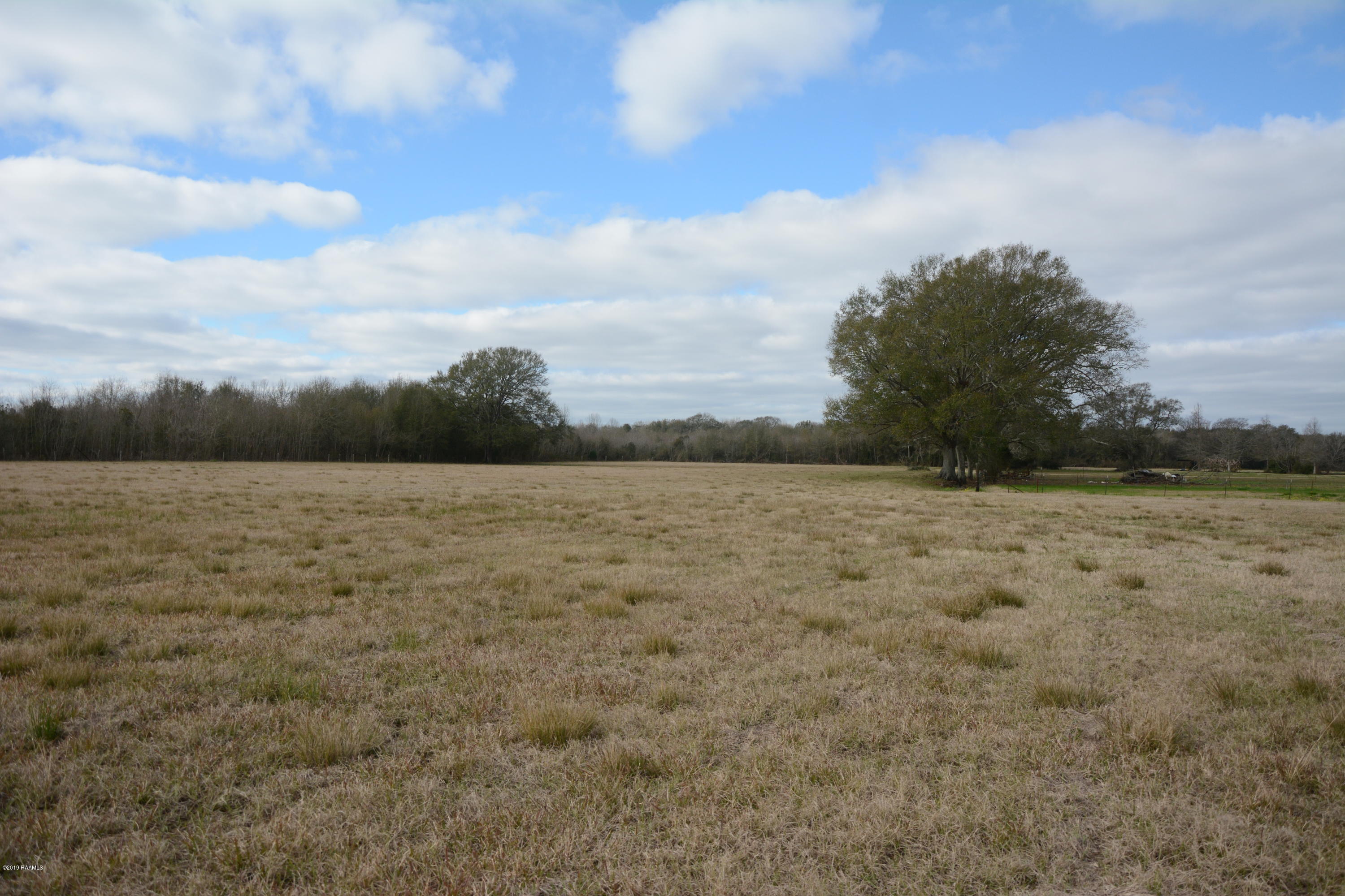 4303 Captain Cade Road Youngsville, LA 70592 - Photo 11 of 17 DSC_0771