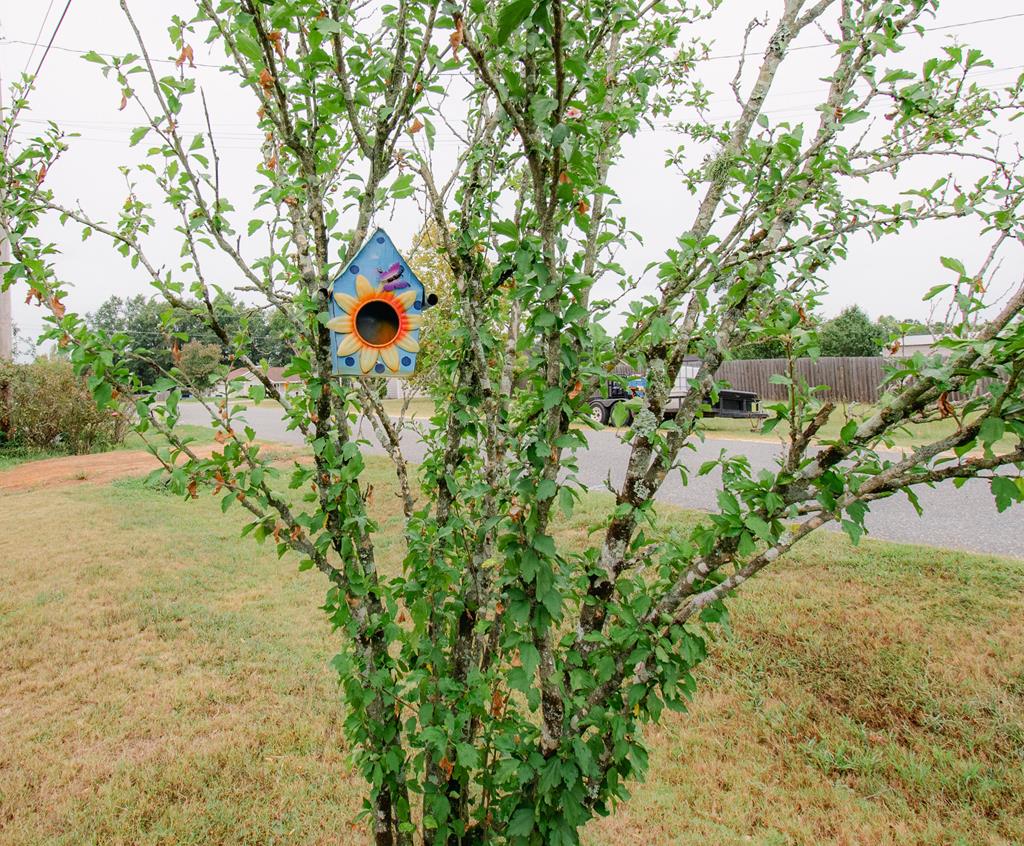 242 Lee Road Phenix City, AL 36870 - Photo 4 of 16 Gallery Image 4